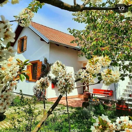 Kuca Za Odmor "Dva Srca" Hotel Ceminac Exterior foto